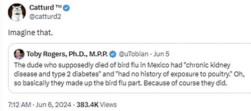 no bird in bird flu