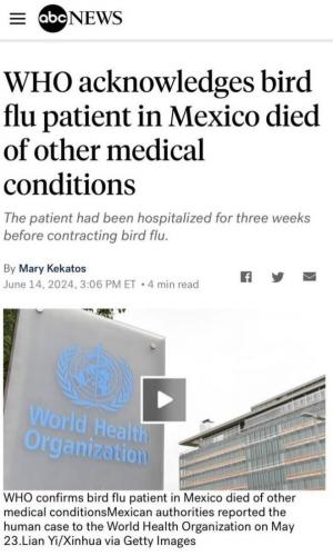 photo_2024-06-18_19-12-11