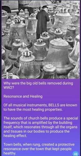 photo_2024-06-08_21-07-13