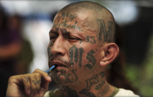ms13 democrats