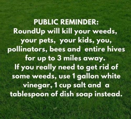 roundup