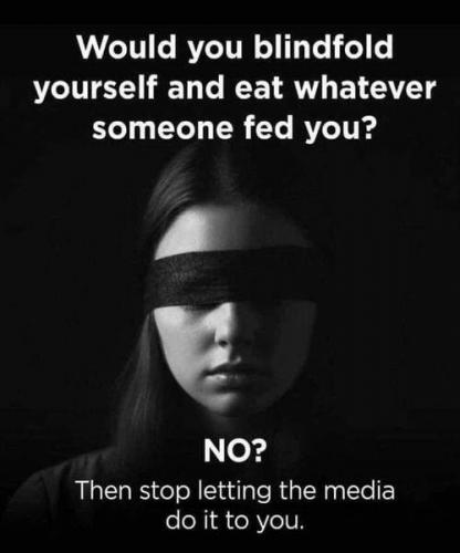 media feed