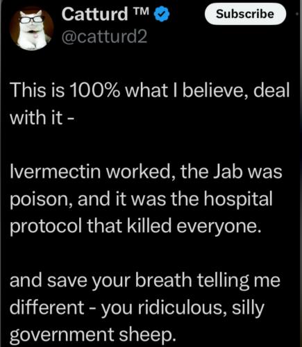 1568e447855365b1