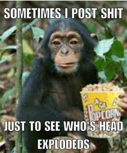 Head explodes - Postings