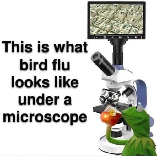 aaa