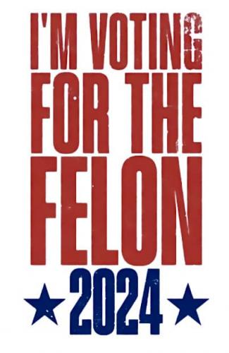 vote for the felon