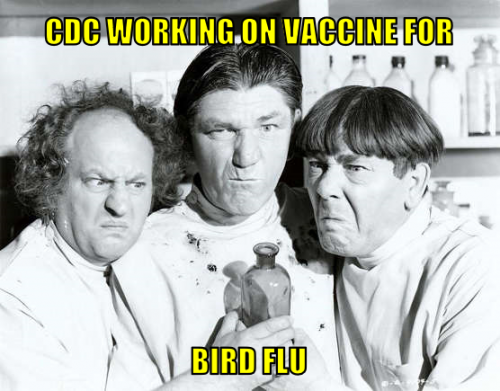cdcwovfbf