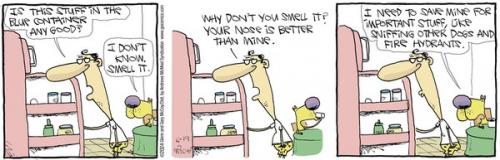 Screenshot 2024-06-19 at 06-30-19 The Duplex by Glenn McCoy for June 19 2024 - GoComics