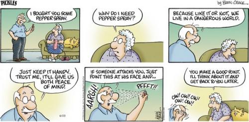 Screenshot 2024-06-23 at 06-45-28 Pickles by Brian Crane for June 23 2024 - GoComics