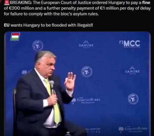 photo_2024-06-17_13-43-12