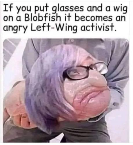 1000024155
