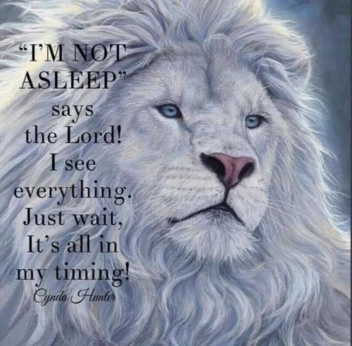 see everything