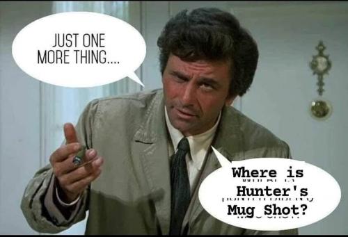 have-i-just-missed-it-you-know-the-gun-and-drug-felons-v0-fiqjagjb867d1