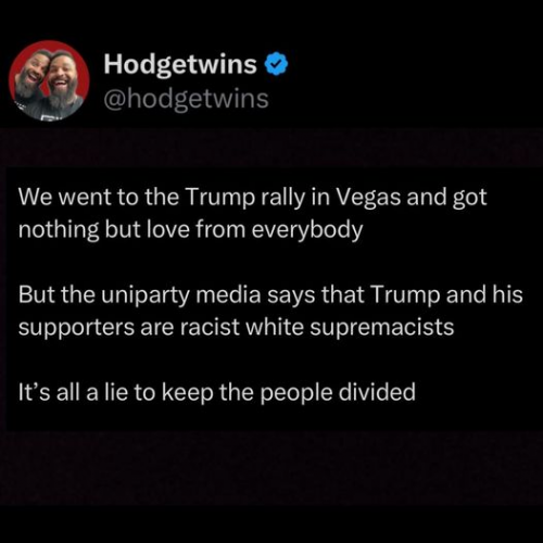 hodgetwins