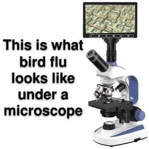 3ItaXVm83UAW5mklaX9Q_04_9ba2f2e5aa4c72a08619840a5a0c60e4_image