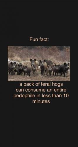 Fun Fact