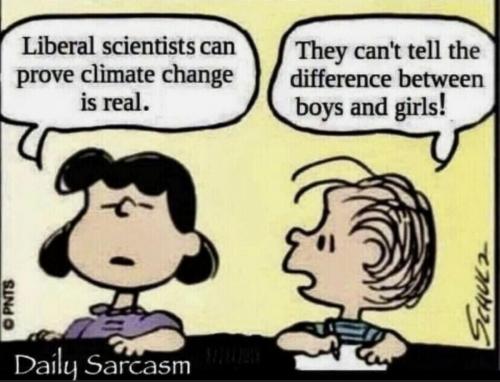 Sarcasm