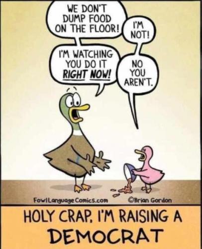 raise dem