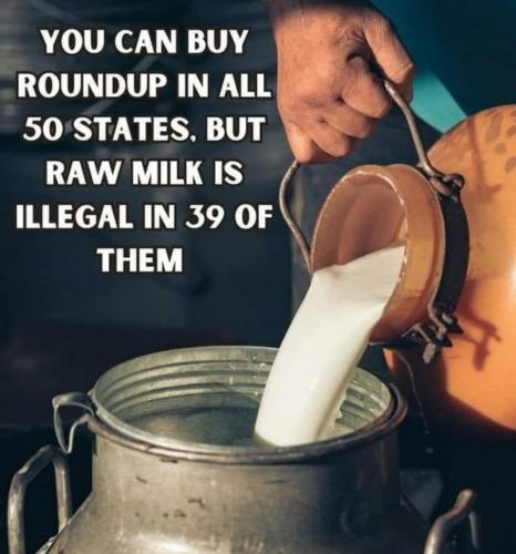 Roundup vs Raw Milk.960px