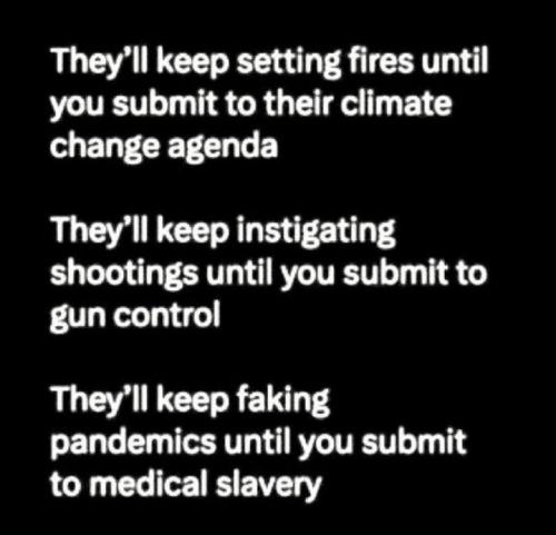 photo_2024-06-11_20-58-31