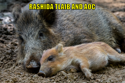 rtaaoc
