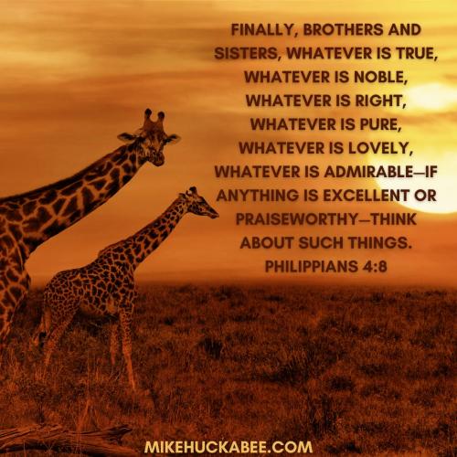 76a3cdd7-f67f-4ad8-9a5f-eeded563a9d5_1080x1080