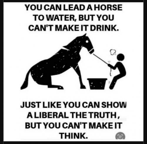 horse think