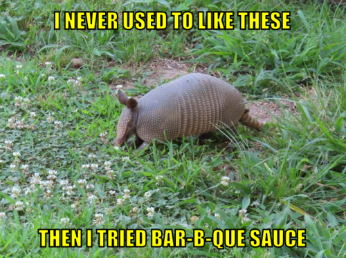 inutlttifbbqs