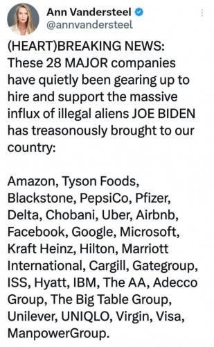 ILLEGAL ALIEN HIRE