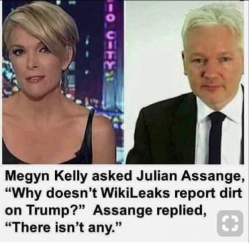 assange dirt