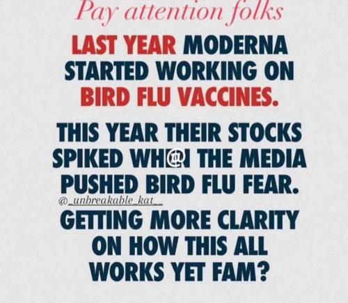 photo_2024-06-15_21-00-39