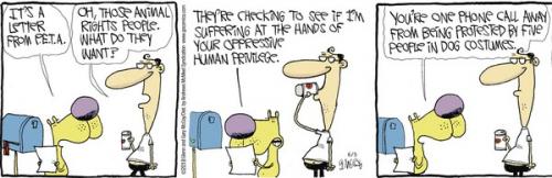 Screenshot 2024-06-05 at 06-26-48 The Duplex by Glenn McCoy for June 05 2024 GoComics