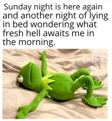 da423b247a5b0dd9