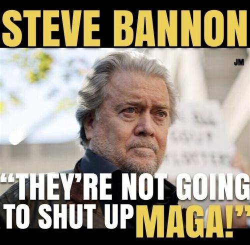 stop maga