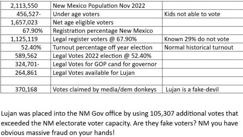 Newmexico2022gov