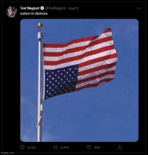 US FLAG UPSIDE DOWN 2