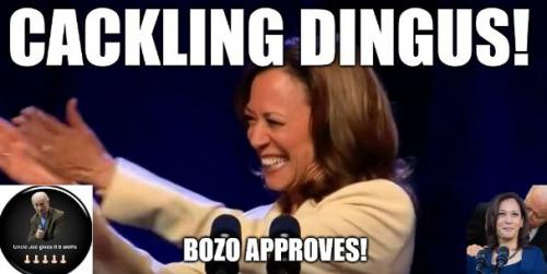 BIDENHOHOCACKLINGDINGUS