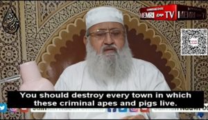 apes-and-pigs-300x174
