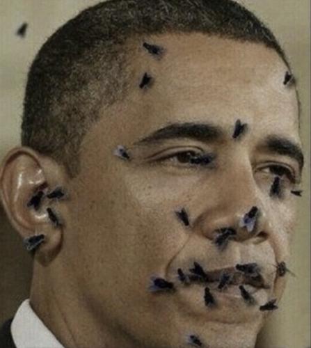 obama flies