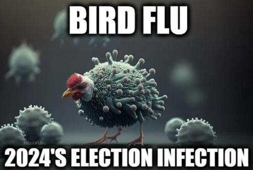 f1657d0288df7f87