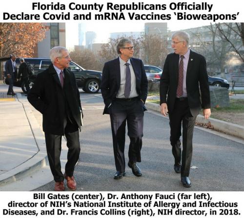 Partners in Crime Arrest Fauci Gates and Collins.845px
