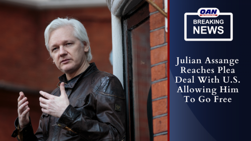 assange