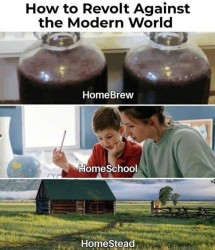 photo_2024-06-08_22-13-57