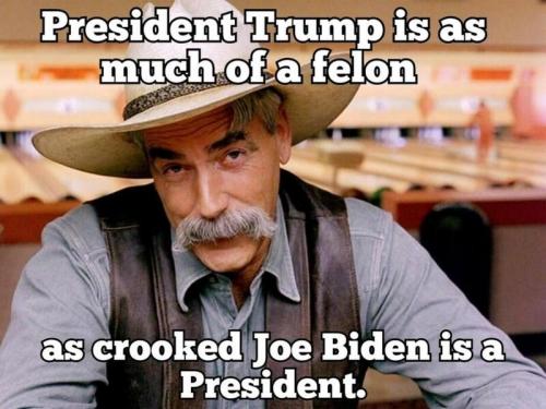 felon potus