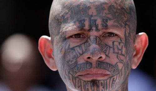 MS13 THANKS JOEBAMA