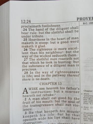 IMG20240612055248_BURST001_COVER