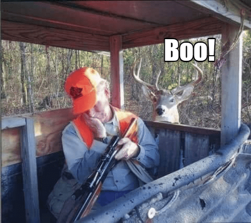 boo
