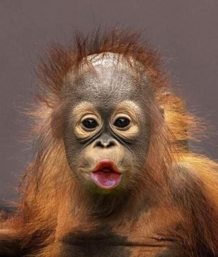 Michelle Obama childhood photo.960px