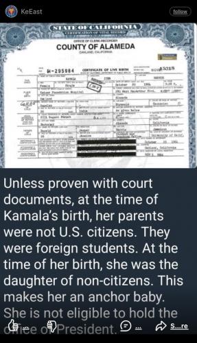 KAMALA HARRIS NON CITIZEN