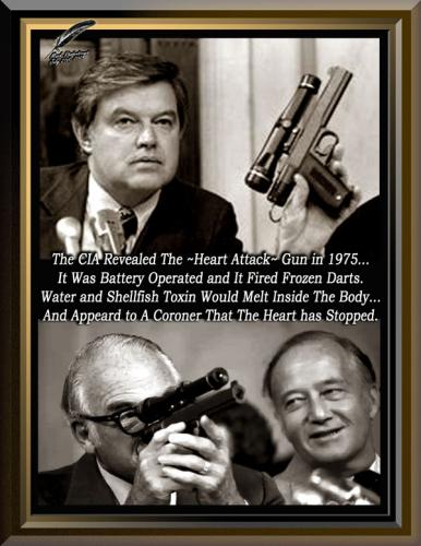 CIA's Undetectable Poison Dart Gun